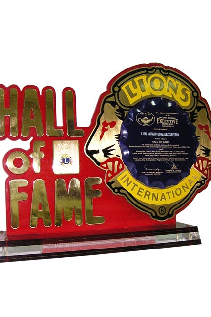<h6>Hall of Fame Awards</h6> [Code:- - - -]